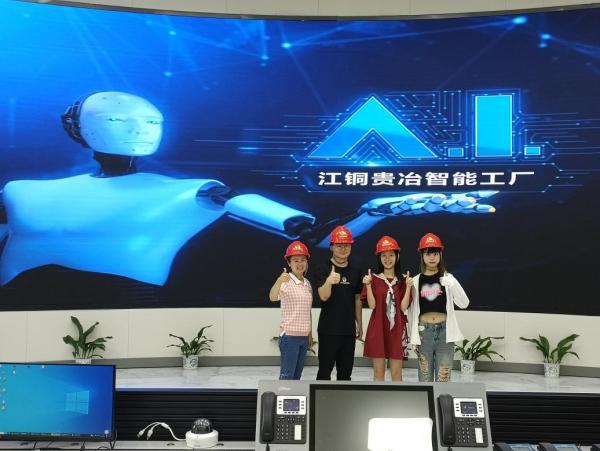 外國語學院開展企業數字化轉型調研暨訪企拓崗活動——聚焦計算機系統服務領域